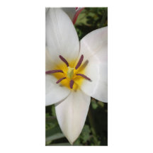 Blumen-Lesezeichen Werbekarte
