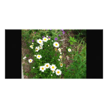 Blumen Photokartenvorlage