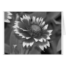Blumen und Spatzen Grußkarten