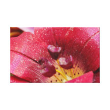 Blumen-Verzierungs-Gewohnheits-Leinwand Gespannter Galerie Druck