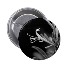 Blumendrache Anstecknadelbutton