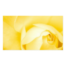 Blumengeschäft oder Visitenkarte der gelben Rosen-