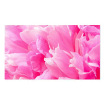 Blumengeschäft oder Visitenkarte der rosa Pfingstr