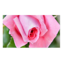 Blumengeschäft oder Visitenkarte der rosa Rosen-Bl