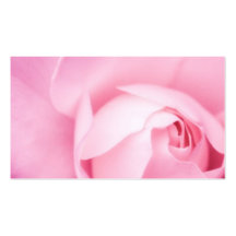 Blumengeschäft oder Visitenkarte der rosa Rosen-Bl