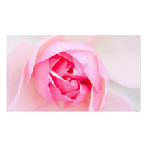 Blumengeschäft oder Visitenkarte der rosa Rosen-Bl