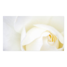 Blumengeschäft oder Visitenkarte der weißen Rosen-
