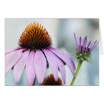 Blumenharmonie Grußkarten