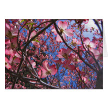 Blumenkarte