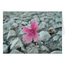 Blumenkarte