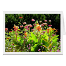 BLUMENNOTECARD (FOTOGRAFIE) KARTEN