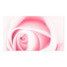 Blumenprofil der schönen weichen rosa Rosen-Blume Visitenkarten