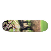 Blury Hecke Skateboarddecks