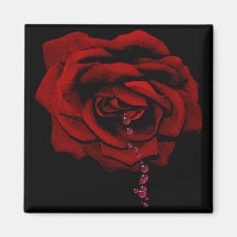Bluten-Rose Magnete