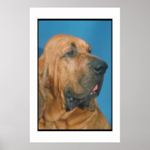Bluthund-Plakat