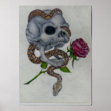 Boa der Schädel-Rose n Poster