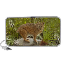 BobcatBCR002 Mini Lautsprecher