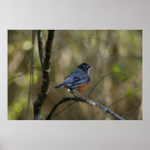 Bogen Plakat