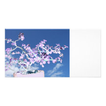 Bonsai inverted purple white against sky portulaca customized photo card