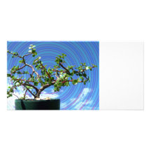 Bonsai tree with spiral effect overlay photo greeting card