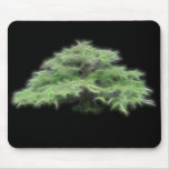 Bonsais-Baum-Grün-Pflanze Mauspads