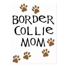 Border-Collie-Mamma Postkarte
