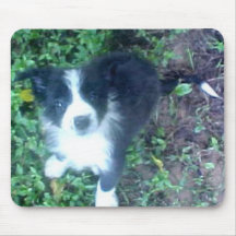 Border-Collie Mousepad