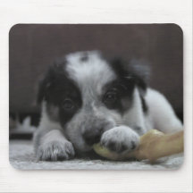 Border-Collie Mousepad~Ava