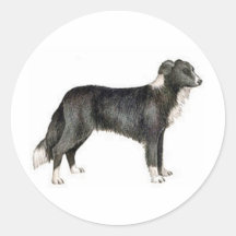Border-Collie Sticker