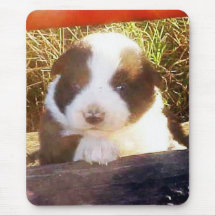 Border-Collie-Welpe Mousepad, "unten auf dem Bauer