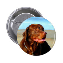 Bosco - Schokoladen-Labrador-Kunst Anstecknadel