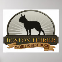 Boston Terrier Posterdrucke