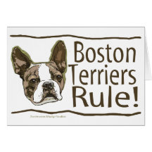boston_terrier_zazzle karten