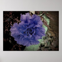 Botanische, große Blume, lila Foto Posterdrucke
