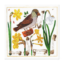 Botanischer Livre-Antiken-Druck Gespannter Galeriedruck