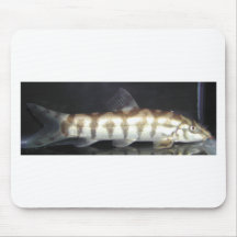 Botia Almorhae Mauspads
