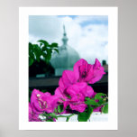 Bouganvilla Plakate