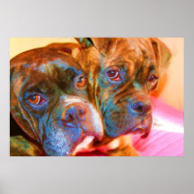 Boxer-Kunst-Leinwand-Druck Plakate
