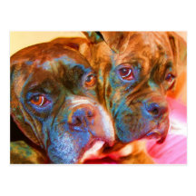 Boxer-Kunstpostkarte