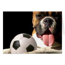 Boxer- und Fußballgrußkarte