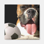 Boxer- und Fußballmagnet Kühlschrankmagnet