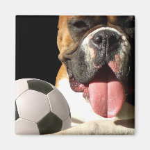 Boxer- und Fußballmagnet Kühlschrankmagnet