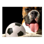 Boxer- und Fußballpostkarte