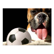 Boxer- und Fußballpostkarte