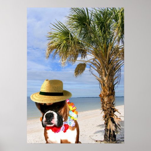 Boxerhund auf dem Strandplakat