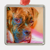 Boxerhundeverzierung Ornamente