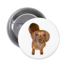 br.dachshund anstecknadel