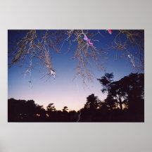braches nach Sonnenuntergang Plakate