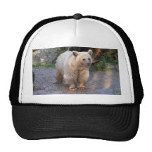 Braunbär Baseball Caps
