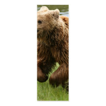 Braunbär-Laufen Visitenkartenvorlagen